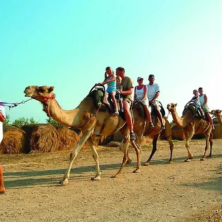 Cyprus Dream Holiday Appartamento